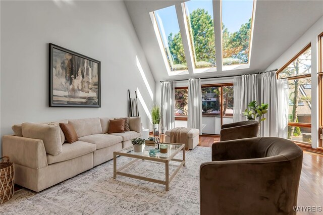 20 Harbour Pointe, Buffalo, NY 14202 - living area featuring wood finished floors, a skylight, and a high ceiling