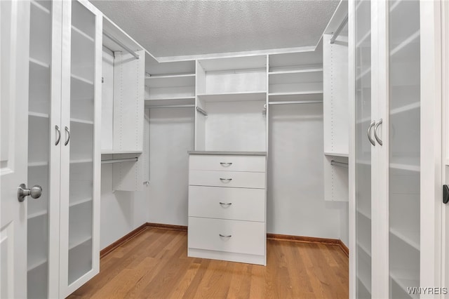 20 Harbour Pointe, Buffalo, NY 14202 - spacious closet with light wood-style flooring