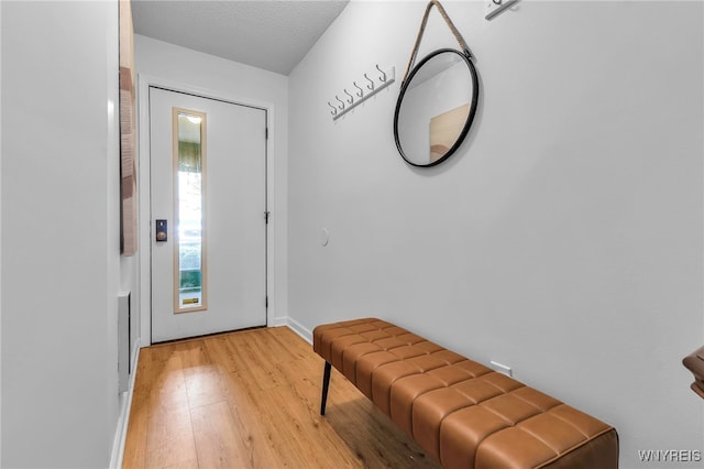 20 Harbour Pointe, Buffalo, NY 14202 - entryway with light wood-style flooring and baseboards