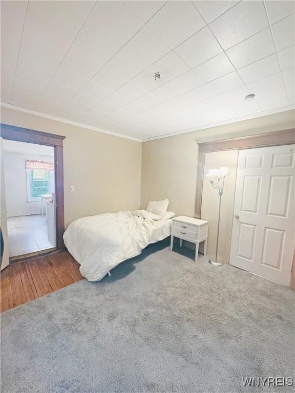 66 Northrup Pl, Buffalo, NY 14214 - carpeted bedroom featuring ornamental molding