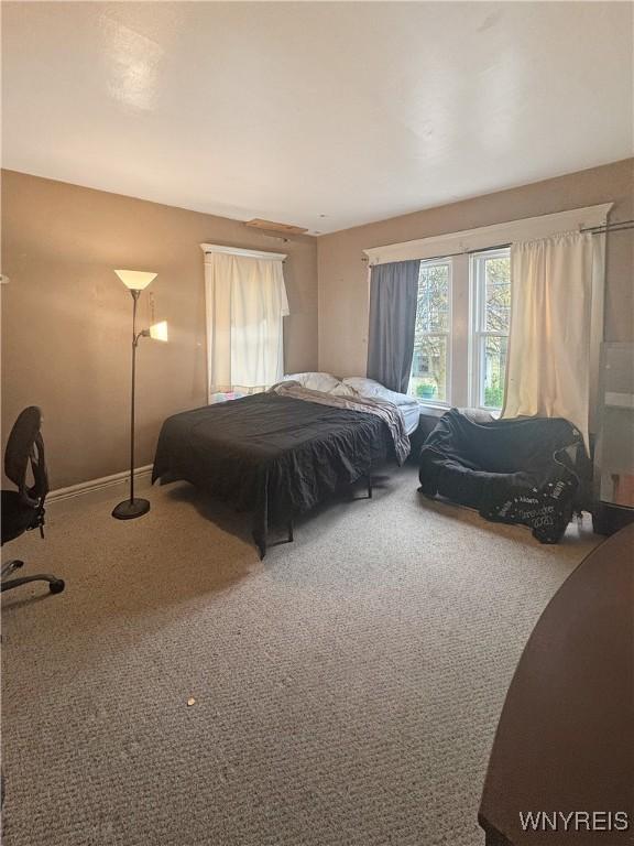 66 Northrup Pl, Buffalo, NY 14214 - view of carpeted bedroom
