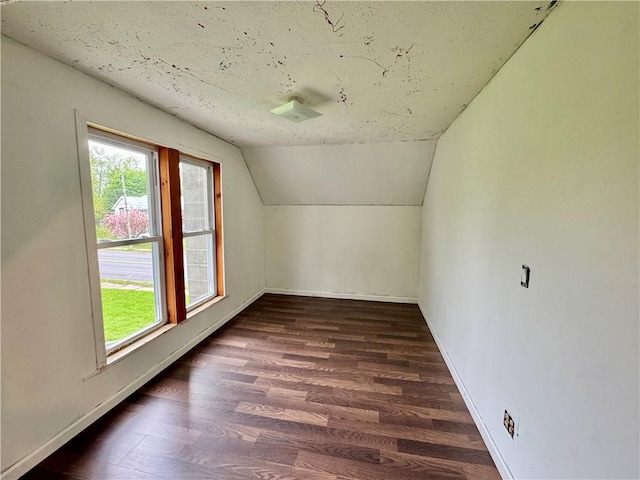 additional living space with plenty of natural light, lofted ceiling, baseboards, wood finished floors, and a textured ceiling