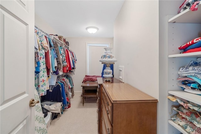 spacious closet with carpet