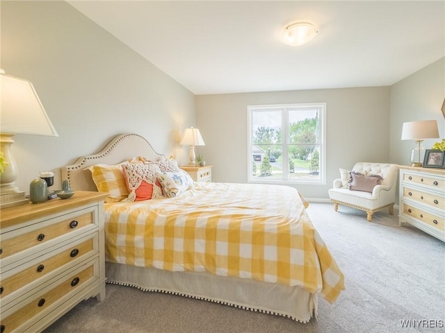 bedroom with carpet