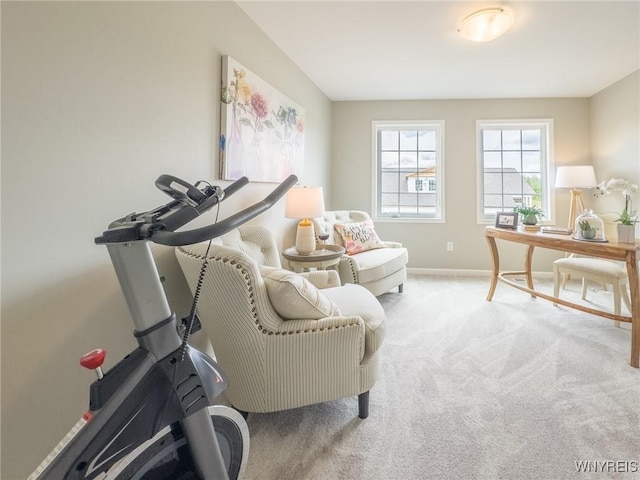 living area featuring carpet flooring and baseboards