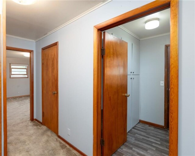 4 Exchange St, Avoca, NY 14809 - photo 12