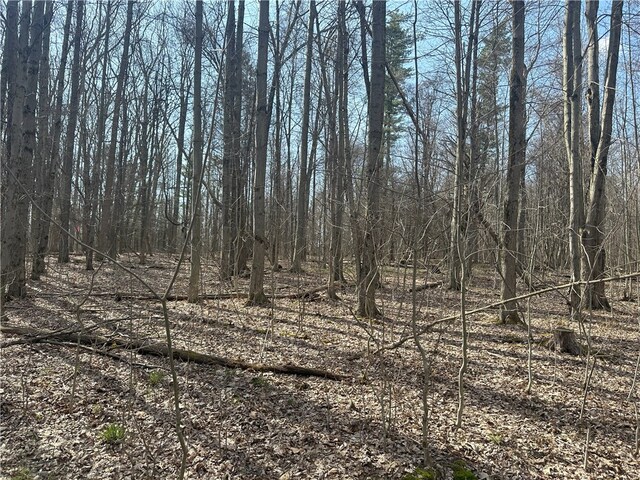 Gulick Rd, Naples, NY 14512 - photo 12