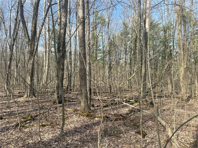 Gulick Rd, Naples, NY 14512 - photo 13
