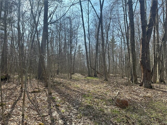 Gulick Rd, Naples, NY 14512 - photo 14