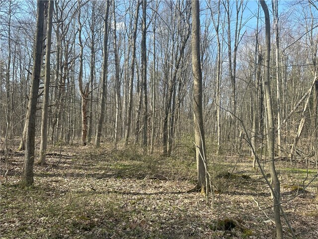 Gulick Rd, Naples, NY 14512 - photo 15