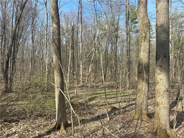 Gulick Rd, Naples, NY 14512 - photo 16