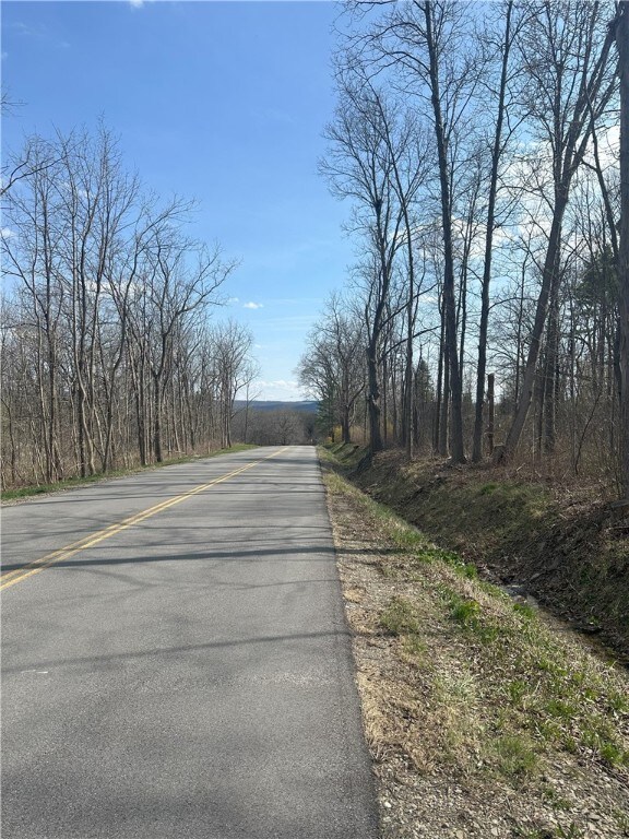 Gulick Rd, Naples, NY 14512 - photo 4