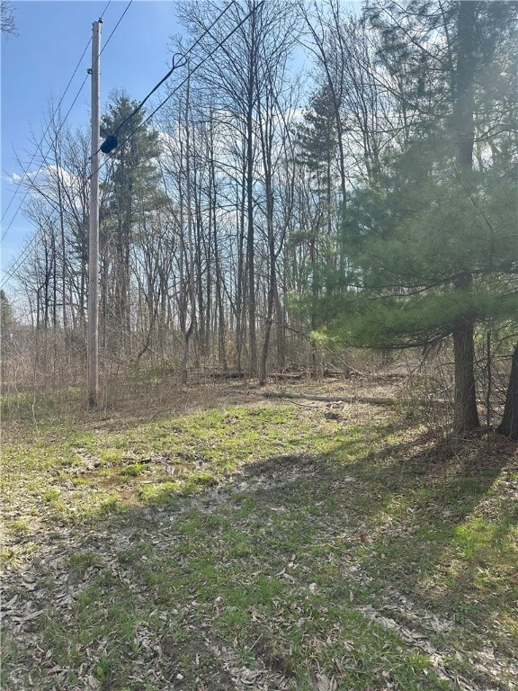 Gulick Rd, Naples, NY 14512 - photo 6