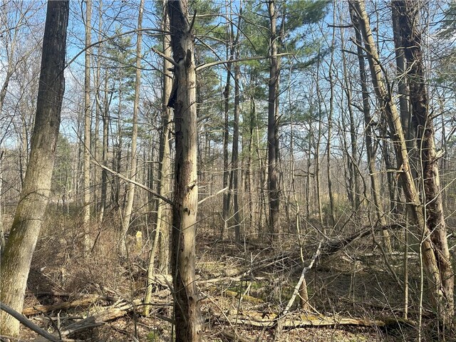 Gulick Rd, Naples, NY 14512 - photo 7