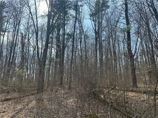 Gulick Rd, Naples, NY 14512 - photo 8