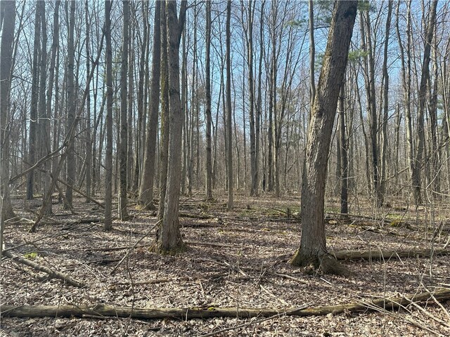 Gulick Rd, Naples, NY 14512 - photo 9