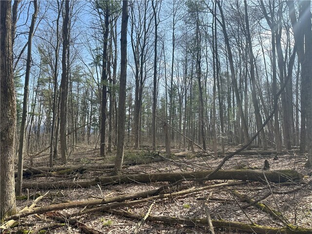 Gulick Rd, Naples, NY 14512 - photo 10