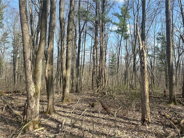 Gulick Rd, Naples, NY 14512 - photo 11
