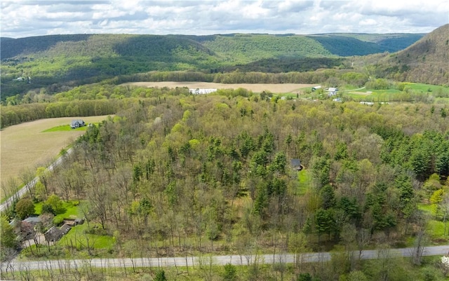 Gulick Rd, Naples, NY 14512 - photo 1