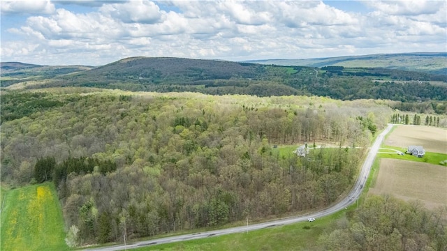 Gulick Rd, Naples, NY 14512 - photo 2