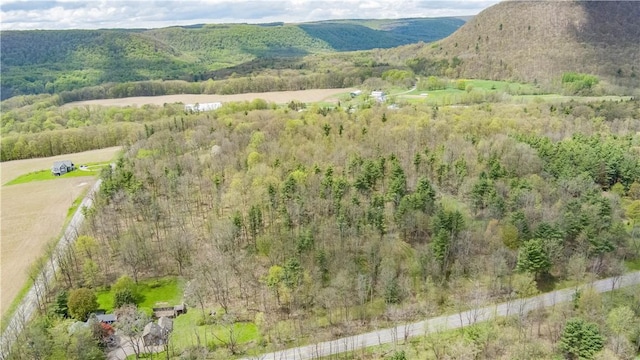 Gulick Rd, Naples, NY 14512 - photo 3
