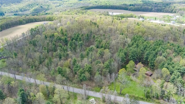 Gulick Rd, Naples, NY 14512 - photo 19