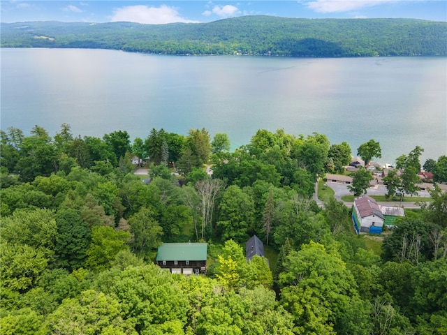 110-114 Pine Ridge Rd, Otsego, NY 13326 - photo 3