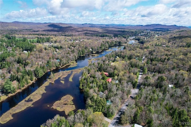 333 Green Bridge Rd, Webb, NY 13420 - photo 4