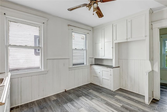 unfurnished dining area featuring a ceiling fan, a wainscoted wall, dark wood-style flooring, and healthy amount of natural light