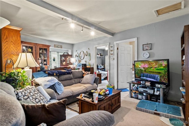 220 Clover Pl, Cheektowaga, NY 14225 - living area featuring light carpet and rail lighting