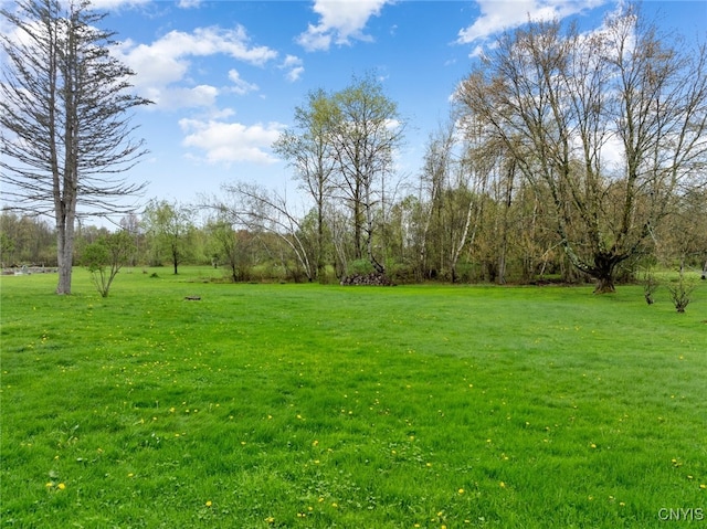 7732 Gifford Rd, Rome-Inside, NY 13440 - view of green lawn