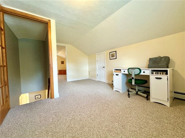 155 Hickory Grove Rd, Horseheads, NY 14845 - office space featuring light carpet, lofted ceiling, baseboards, and a baseboard radiator