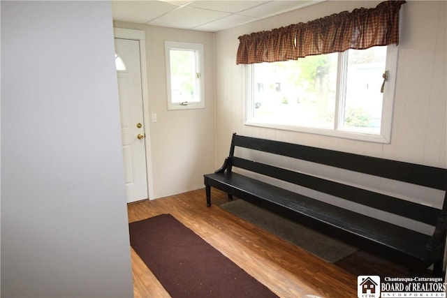 entryway featuring plenty of natural light and wood finished floors