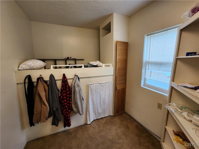 mudroom with carpet and a textured ceiling