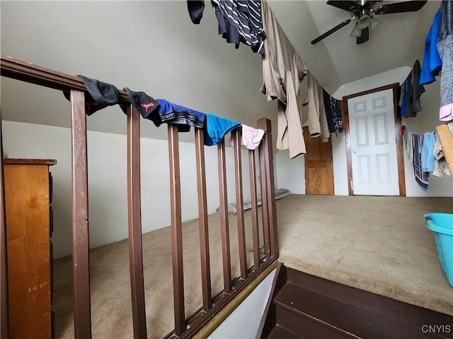 stairway featuring carpet floors and a ceiling fan