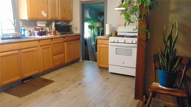 12 Fayette St, Fayette, NY 13165 - photo 10