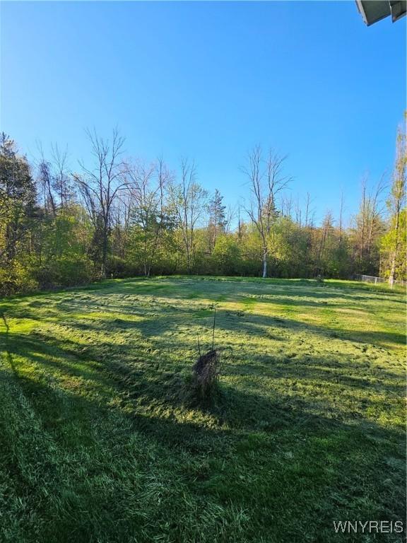 3159 Upper Mountain Rd, Cambria, NY 14132 - view of grassy yard with a view of trees