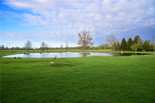 1142 W Ave, Clarkson, NY 14420 - view of property's community featuring a water view and a yard