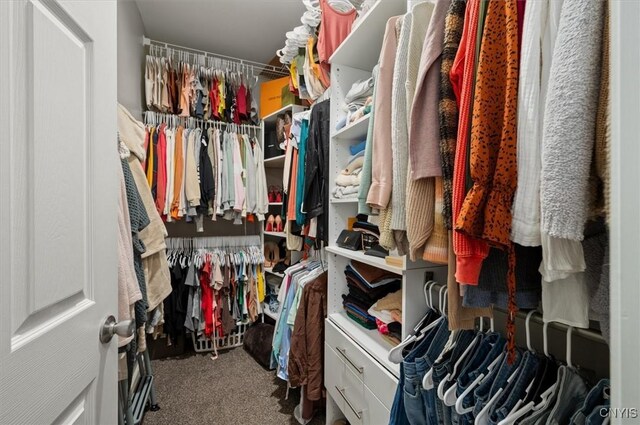 161 Knapps Knolle Rd, Schuyler, NY 13502 - walk in closet with carpet floors
