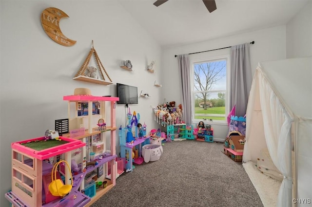 161 Knapps Knolle Rd, Schuyler, NY 13502 - recreation room featuring carpet and ceiling fan
