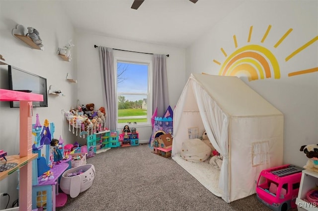 161 Knapps Knolle Rd, Schuyler, NY 13502 - recreation room featuring carpet floors and a ceiling fan