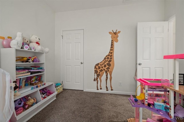 161 Knapps Knolle Rd, Schuyler, NY 13502 - recreation room with carpet