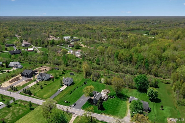 view of property location with a heavily wooded area