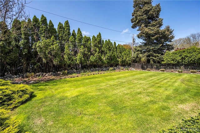 view of yard