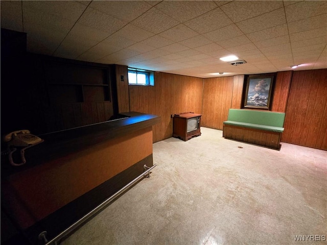 585 Downing St, Buffalo, NY 14220 - rec room with wood walls and carpet floors