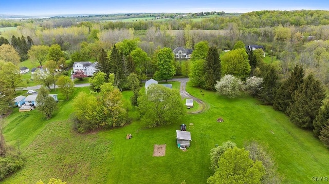drone / aerial view