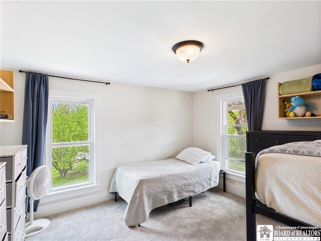 bedroom with carpet and multiple windows