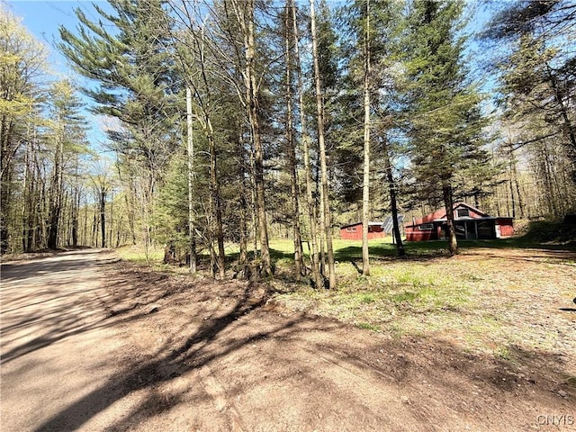 13200 Henry Rd, Diana, NY 13665