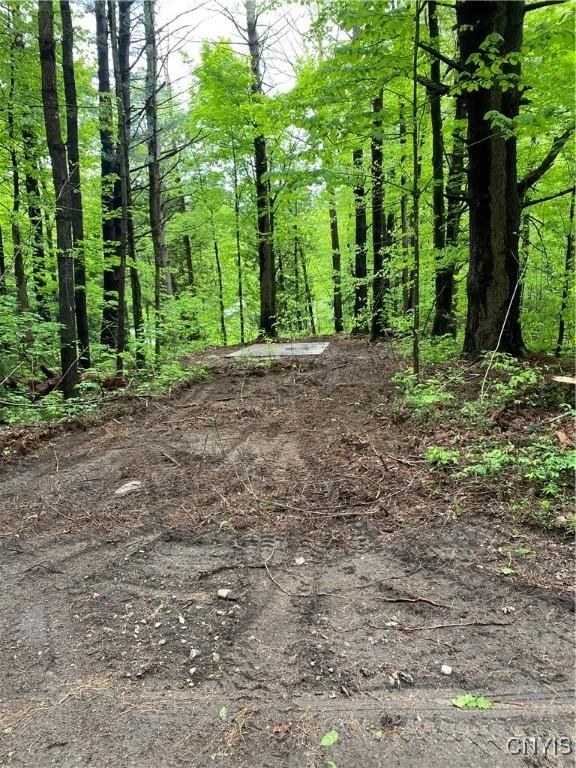 13200 Henry Rd, Diana, NY 13665