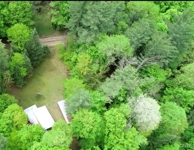 13200 Henry Rd, Diana, NY 13665